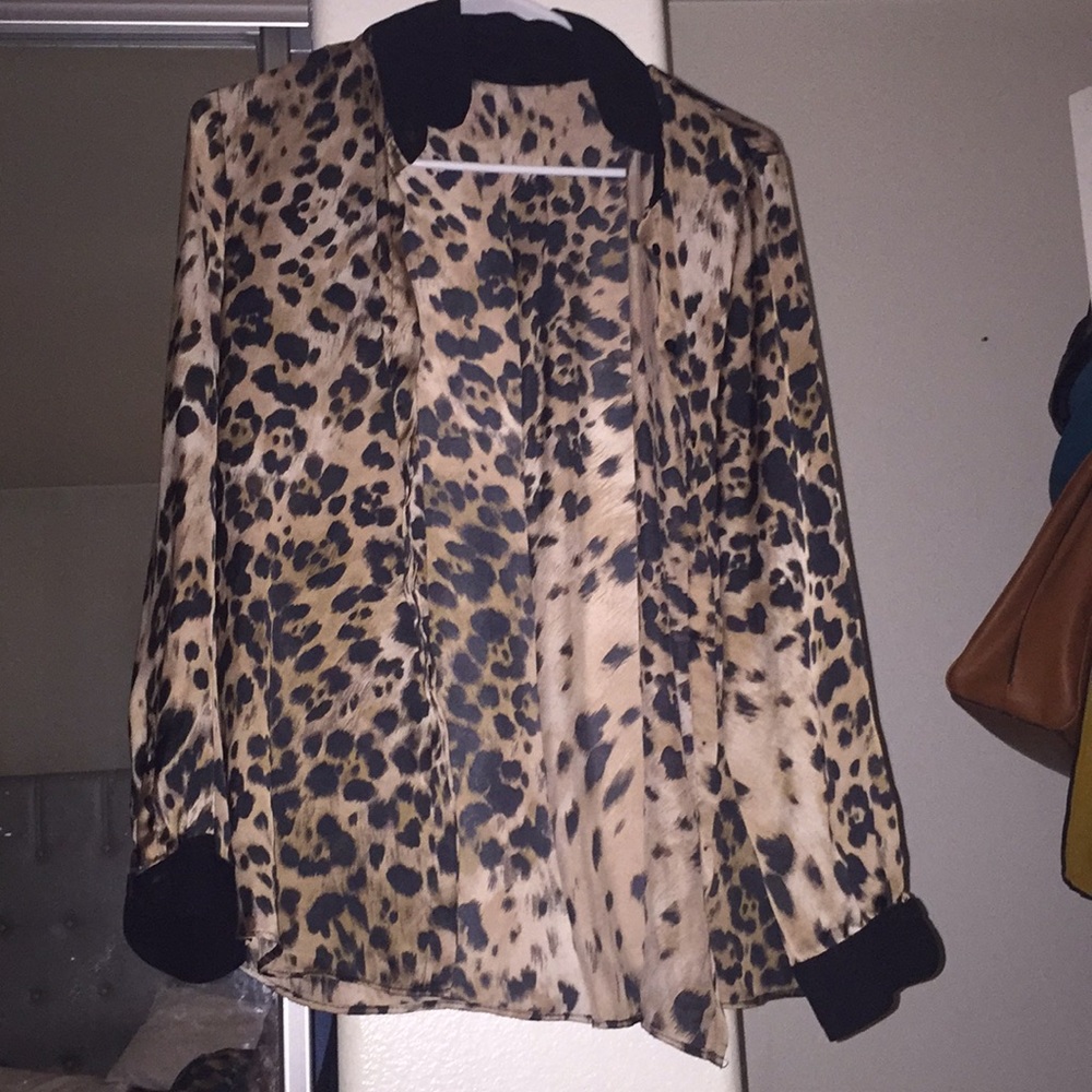 Leopard is in...